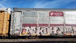 TTGX 953608 FXE 210757